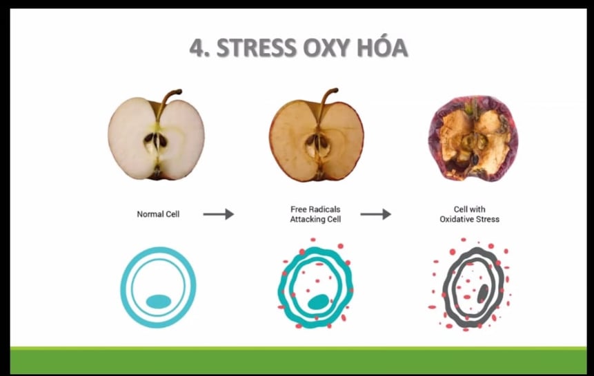 123013132_693668514585024_8128702258874536854_n