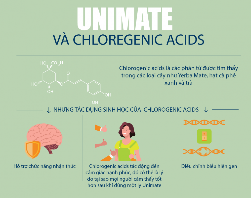 98007112_2678706999027424_5390712898882371584_o-1010x800-1