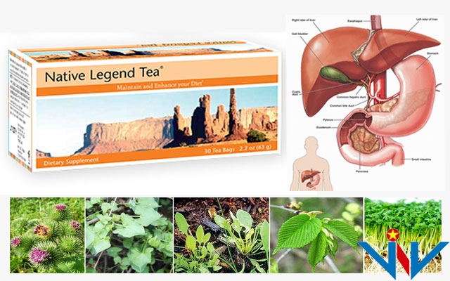 trc3a0-the1baa3i-c491e1bb99c-huye1babft-tc6b0c6a1ng-native-legend-tea